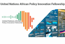 Applications are now open for the Fully funded United Nations African Policy Innovation Fellowship 2025