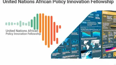 Applications are now open for the Fully funded United Nations African Policy Innovation Fellowship 2025