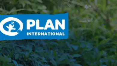 Plan International is recruiting a Legal Counsel (Globally Flexible)
