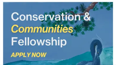 Applications are open for the fully funded Conservation and Communities Fellowship for 24 community-based conservation leaders from the Global South