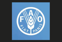 FAO is recruiting for a home-based Expert on Climate Change (International Consultant on climate change): Apply Now