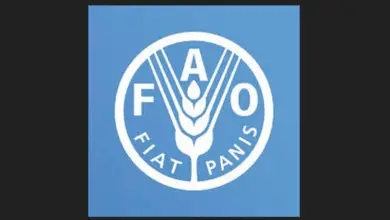 FAO is recruiting for a home-based Expert on Climate Change (International Consultant on climate change): Apply Now