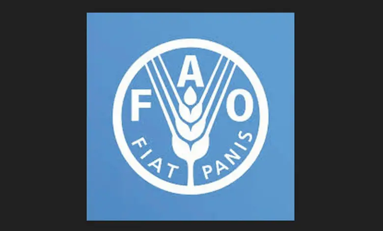 FAO is recruiting for a home-based Expert on Climate Change (International Consultant on climate change): Apply Now