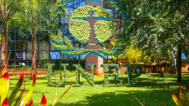 Apply for the Science Policy Internship at the United Nations Environment Programme (UNEP)