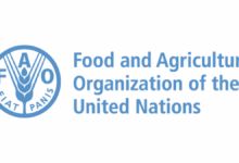 Work from home as an International Climate Finance Specialist at FAO