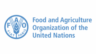 Work from home as an International Climate Finance Specialist at FAO