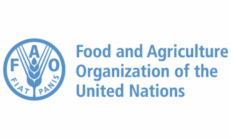 Work from home as an International Climate Finance Specialist at FAO