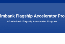 Apply for the Afreximbank Flagship Accelerator Program for African entrepreneurs (access to investment up to $250,000 to scale your business)