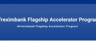 Apply for the Afreximbank Flagship Accelerator Program for African entrepreneurs (access to investment up to $250,000 to scale your business)