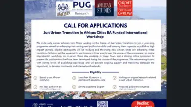 Call for Applications: Just Urban Transition in African Cities BA Funded International Workshop 2025–2026