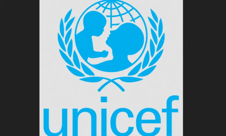 Exciting Paid Internship: Apply for the Remote UNICEF Internship on UN Partnerships