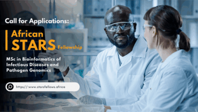 Call for Applications: Fully Funded African STARS MSc Fellowship for study in South Africa