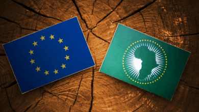 Apply for the EU Funded traineeship for young graduates at the EU Delegation to the African Union