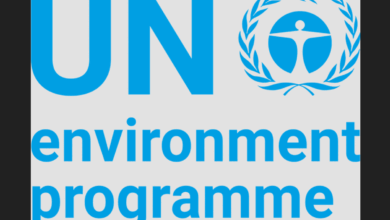 Work Remotely as a Business Engagement Specialist at UNEP: Apply Now