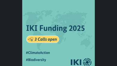 Exciting IKI Funding Opportunities in 2025: Three Calls Now Open for Innovative Climate and Biodiversity Projects