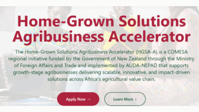 Scale Your Agribusiness Across Africa with the AUDA-NEPAD Home-Grown Solutions Agribusiness Accelerator Program: Apply Now