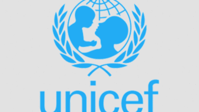 Work Remotely as a Project Advisor Consultant - Programme Group at UNICEF: Apply Now