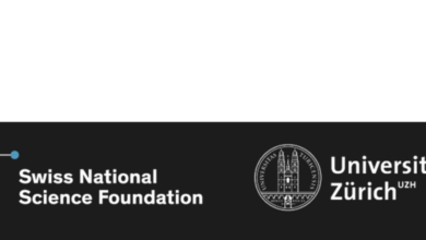 Applications are now open for the fully funded Peace Research Fellowship 2026 for early-career researchers from any country at the University of Zurich