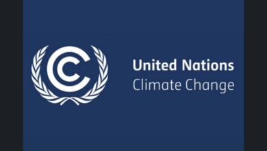 UNFCCC is recruiting for a Policy Officer Position, P-4 in the Executive Engagement and Support Unit: Apply Now!